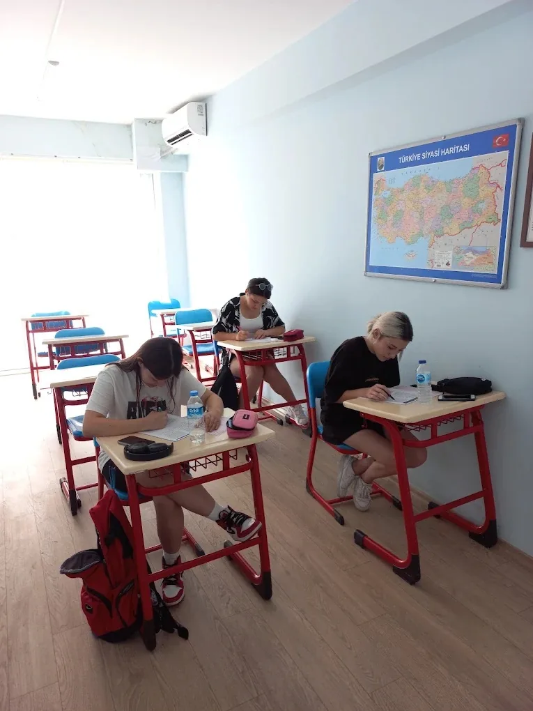 1A Eğitim